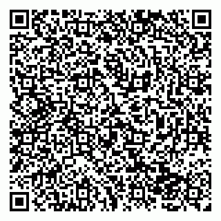 vCard 79138043182