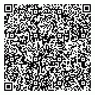 vCard 79138043199
