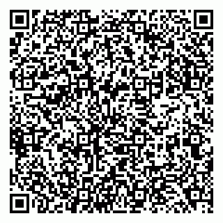 vCard 79138043201