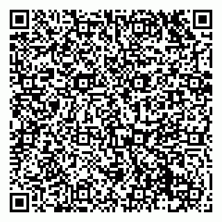vCard 79138043202