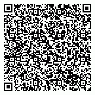 vCard 79138043203