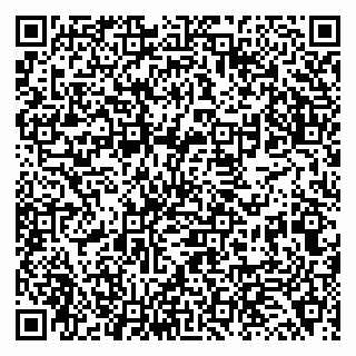 vCard 79138043204