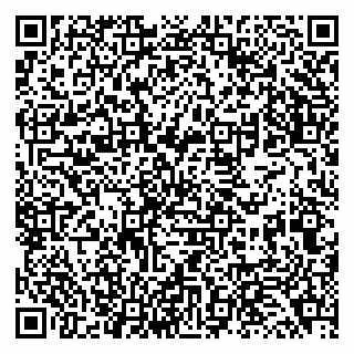 vCard 79138043205