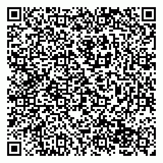 vCard 79138043208