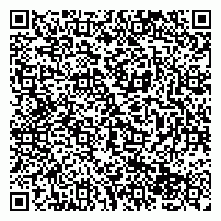 vCard 79138043221