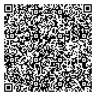 vCard 79138043246