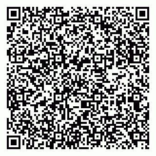 vCard 79138043263