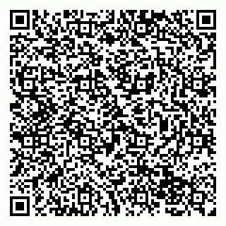 vCard 79138043265
