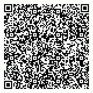 vCard 79138043271