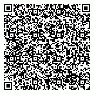 vCard 79138043273