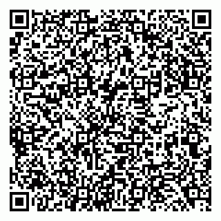 vCard 79138043291