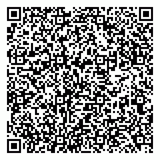 vCard 79138043294