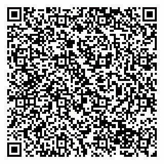 vCard 79138043295