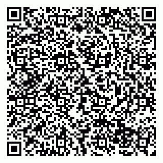 vCard 79138043299