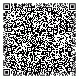 vCard 79138043303