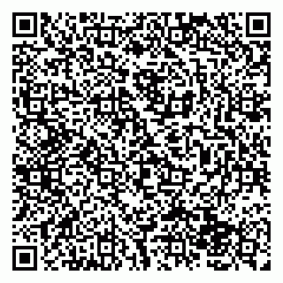vCard 79138043304