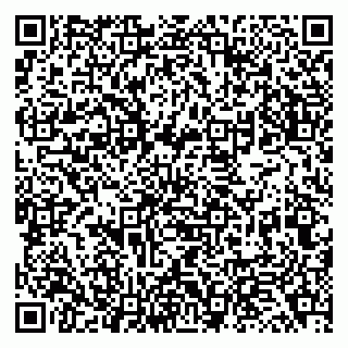 vCard 79138043308