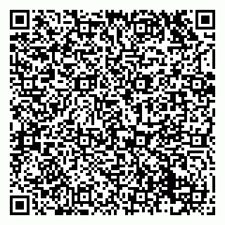 vCard 79138043310