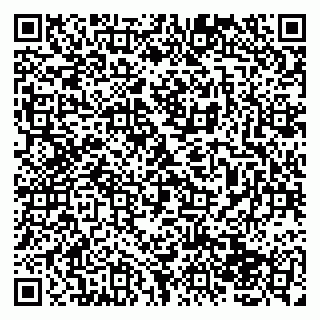 vCard 79138043311