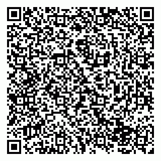 vCard 79138043312