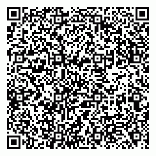 vCard 79138043313