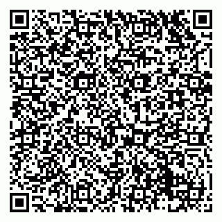 vCard 79138043314