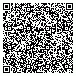 vCard 79138043316