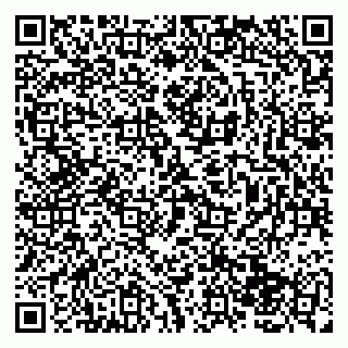vCard 79138043317