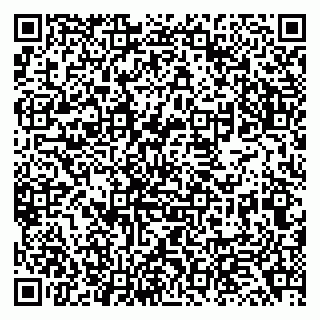 vCard 79138043322
