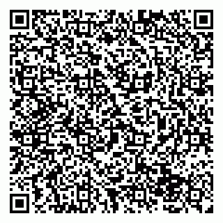 vCard 79138043323