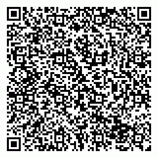 vCard 79138043328