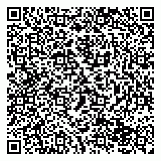 vCard 79138043329