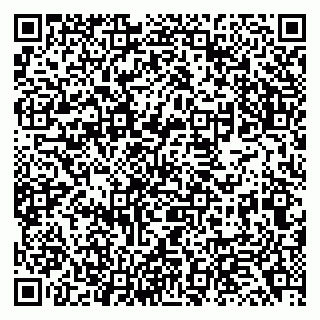 vCard 79138043331