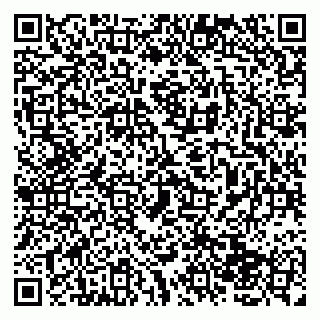 vCard 79138043333