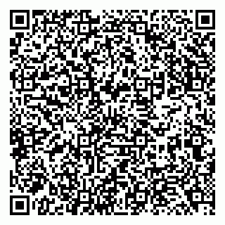 vCard 79138043335