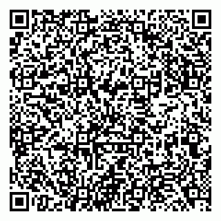 vCard 79138043336