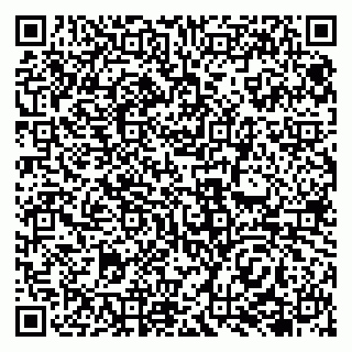 vCard 79138043337
