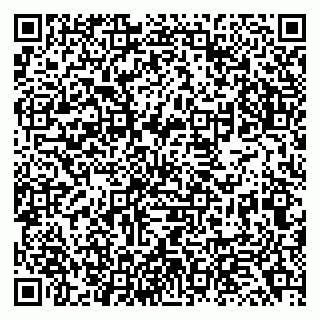 vCard 79138043340