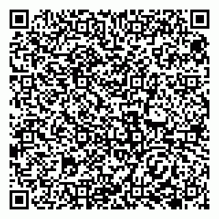 vCard 79138043358