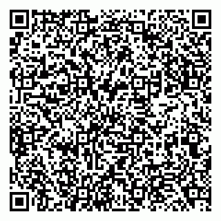 vCard 79138043369
