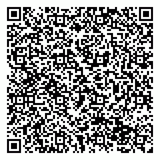 vCard 79138043378