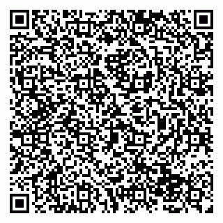 vCard 79138043387