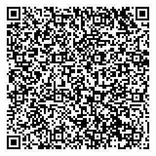 vCard 79138043408