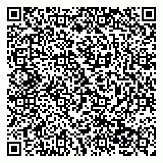 vCard 79138043409
