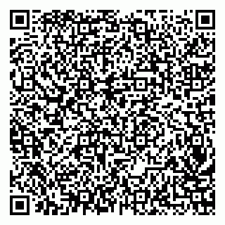 vCard 79138043441