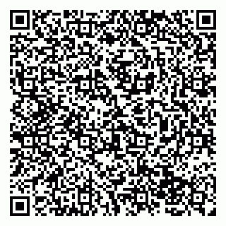 vCard 79138043702