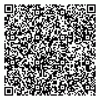 vCard 79138044037