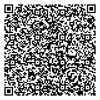 vCard 79138044303