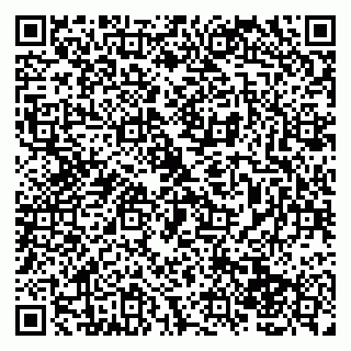 vCard 79138044729