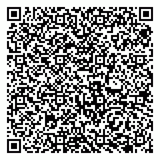 vCard 79138046005